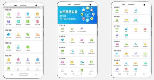 大田智慧農(nóng)業(yè) 以1.28億元數(shù)字化服務(wù)，筑牢農(nóng)產(chǎn)品安全生命線